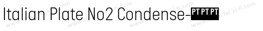 Italian Plate No2 Condense字体转换